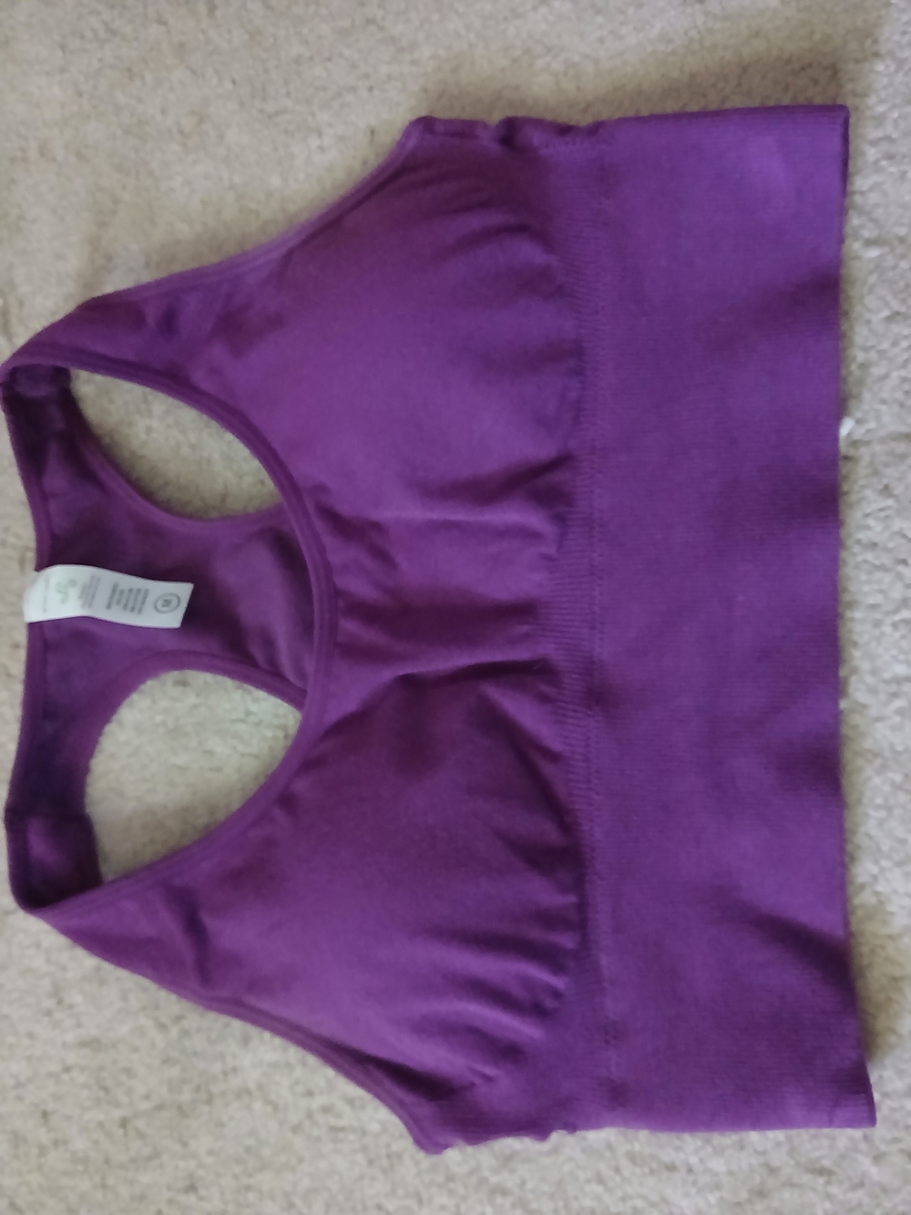 Green Apple Purple Racerback Bra Medium
